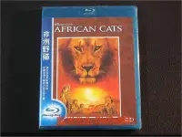 在飛比找Yahoo!奇摩拍賣優惠-[藍光BD] - 非洲野貓 African Cats  - 