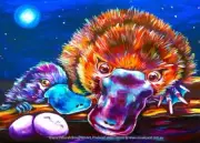QPuzzles 500XL Piece Jigsaw Puzzle - Deborah Broughton - Platypus