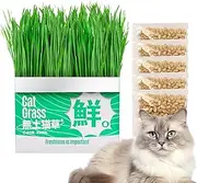 Grass Growing Pot, Cat Grass Planter Box - Soilless Cats Grass Growing Pot | Soilless Hydroponic Planter for Balcony, Windowsill, Living Room, Porch, Backyard