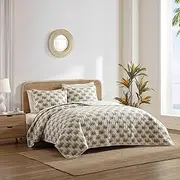 [Tommy Bahama] Quilt Set, Reversible Bedding with Matching Sham, Luxuriously Soft Fabric, Tropical Design, Cozy Home Essentials (Santiago Pink, Full/Queen)