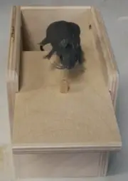 Mouse Wooden Suprise Box Gag Gift