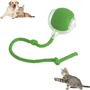 Chewie Viral Rolling Ball, Chewie Ball for Dogs, Pet Electric Rolling Ball, Rolling Pet Ball, Interactive Cat Ball Toy, Electric Smart Cat Ball Toy, 360° Smart Automatic Rolling Pet Ball (Green)