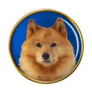 Finnish Spitz Lapel Pin Badge