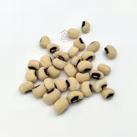 在飛比找蝦皮購物優惠-米豆 1斤(600g) 眉豆 黑眼豆
