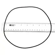 Astral Motor Clamp O-Ring Astralpool (7731838026)