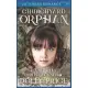 Churchyard Orphan Victorian Romance: A Victorian Christmas Story