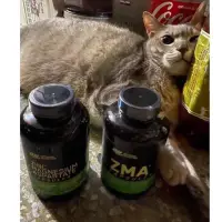 在飛比找蝦皮購物優惠-『熱銷補貨✨』原裝正品！Optimum Nutrition 