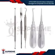 5 PCS RDM Solid & Hollow Hollenback Amalgam & Composite Carvers Double End