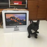 在飛比找蝦皮購物優惠-全新Apple 21.5吋iMac 桌電