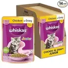 Whiskas Junior Kitten (2-12 Months) Wet Cat Food, Chicken in Gravy, 80g