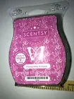 NEW Scentsy Prickly Pear & Agave Wax Bars Melts
