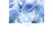 Ecovacs Deebot T9 Wild Bluebell Fragrance Capsule