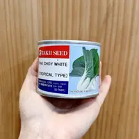 在飛比找蝦皮購物優惠-原包裝 1/4磅 熱帶品種 日本黑葉白菜種子 黑葉白菜種子 