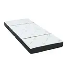 Giselle Bedding Foldable Mattress Folding Foam Mat Mattress Bamboo Sofa Bed New