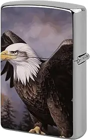 [GHBNK] Bald Eagle Lighter Case, Lighter Protective Cover, Personalized Metal Shell Graffiti Design