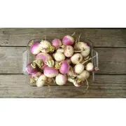 TURNIP 'Milan Purple Top' seeds