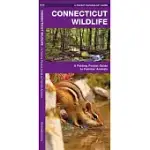 CONNECTICUT WILDLIFE: A FOLDING POCKET GUIDE TO FAMILIAR SPECIES