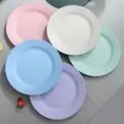 PP Plastic Dinner Plates Wheat Straw Steak Dish Pizza Plate Vegetable