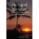 On Top of the Grass: Tales of a Snowbird in Florida