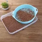 Plastic Soil Sieve Sifter Round Sand Screen Filter Sifting Strainer Compost