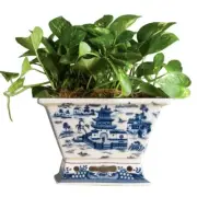 BLUE WILLOW RECT. PORCELAIN BASIN/PLANTER- 10'' X 7''H