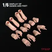1/6 TP305P Hands Feet Accessories 7 Pairs Set Fit 12" Woman Figure Body Toys