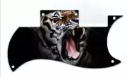 Pickguard Scratchplate Graphical to fit Epiphone SG Special VE Tiger 1