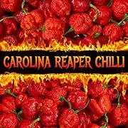 10+ Carolina Reaper Chilli Seeds for Home Gardening and Planting Seeds