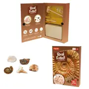 Magnoidz Fossil Dig Kit Kids/Children Educational Science Paleontology Toy 6y+