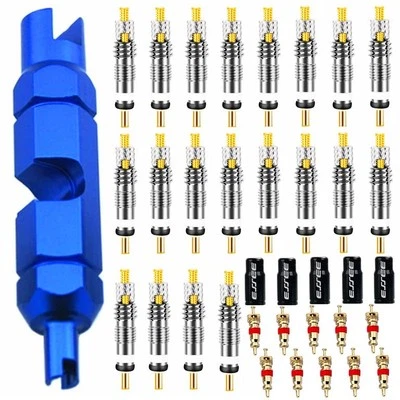 36Pcs Valve Core Remover Tool Kit Bike and Car Valve Core Repair Tool with No...