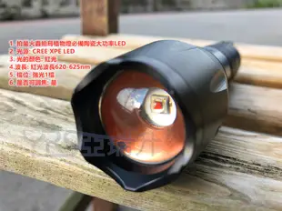 (拍螢火蟲拍鳥植物燈必備) CREE XPE2代紅光 波長620-625nm陶瓷大功率LED無極變焦手電筒 1檔強光