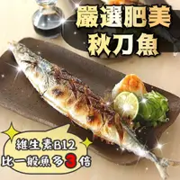 在飛比找蝦皮購物優惠-肥美秋刀魚L 2入｜秋刀魚｜ 鮮魚｜海鮮｜烤秋刀魚｜烤魚｜烤