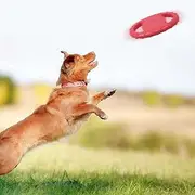 xinyee Pet Dog Flying Disc EVA Dog Training Ring with Double Handles Dog Flyer Toys Outdoor Activity Floating Fetch Toy