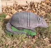 Latex and fiberglass backer armadillo mold READY TO SHIP