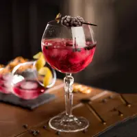 在飛比找momo購物網優惠-【RCR】Alkemist水晶玻璃紅酒杯 500ml(調酒杯
