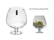 bulk 4 Glass Brandy Balloon Vase Flower 22x25cm