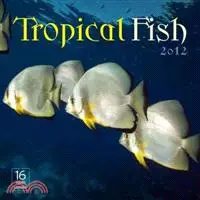 在飛比找三民網路書店優惠-Tropical Fish 2012 Calendar