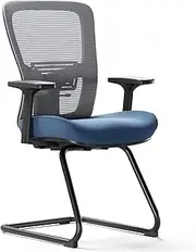 LarkLeaves Premium Office Chair No Wheels, Welded Sled-Base Ergonomic Mesh Office Chair, Desk Chair with Adjustable Lumbar Support, Blue