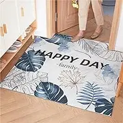 Door Mat, Grabber Mesh Welcome Doormat, Stain and Fade Resistant, Low Profile Entryway Mats for Home Front or Back Entrance(Blue,80x120cm)