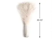 50 Pieces - 30-35" Bleached Ivory Peacock Tail Eye Wholesale Feathers Halloween