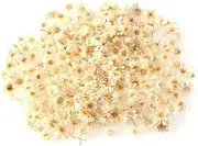 Mini Dried Flowers for Resin,Crafts,Nails,DIY Projects, Small Dried Flowers, Tiny Natural Real Dried Pressed Flowers for DIY Jewelry Earrings Epoxy Molds, Candles Soap Making, About 140pcs (White)