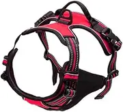 Dog Collars Harness Big Vests Leash Pet Everything for Dogs Puppy Accessories Medium Small Set(Red,Medium)