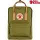 Fjallraven 北極狐 Kanken Classic 瑞典書包/空肯包/方型後背包 23510 631-241 叢葉綠/桃沙