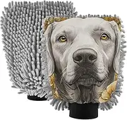 XYMZR Absorbent Microfiber Car Wash Mitt Labrador Flower Cute Gold, Funny Cute Anime Scratch Free for Cars Cleaning, Home Cleaning Mitts, 2 Pack, 10.24” L x 7.09” W