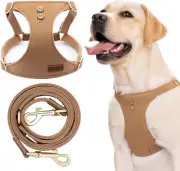Dog Harness, No Pull Dogs Harness and Multi-Function Leash Set for Medium Dogs E