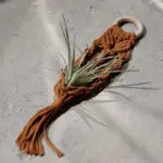 MACRAME 空氣鳳梨掛飾 手工迷你編織 車上吊飾 木環赭棕款（不含植物）