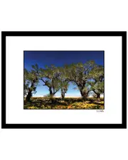 Desert Tree Wall Art by Steven A. Heller
