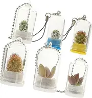 HAKIDZEL 6Pcs Miniature Glass Vase Keychain Propagation Holder for Micro Plants Air Plant Decor Unique Keychain Accessories for Backpack and Home