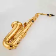 New 280 Professional Alto Saxophone Gold Alto Saxophone with Accessories