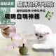 『台灣x現貨秒出』貓薄荷球不倒翁貓咪玩具 羽毛玩具 貓薄荷玩具 貓玩具 逗貓玩具 自嗨玩具